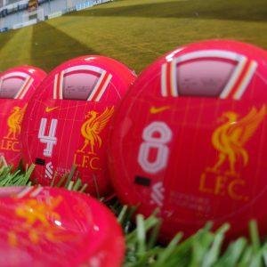 img 20241113 092632921