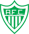 Alfenense